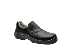 CURTIS - S2/FLEX S3 (2) (2)