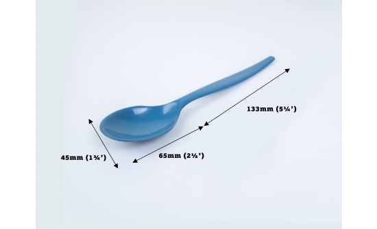 spoon with dimensions
