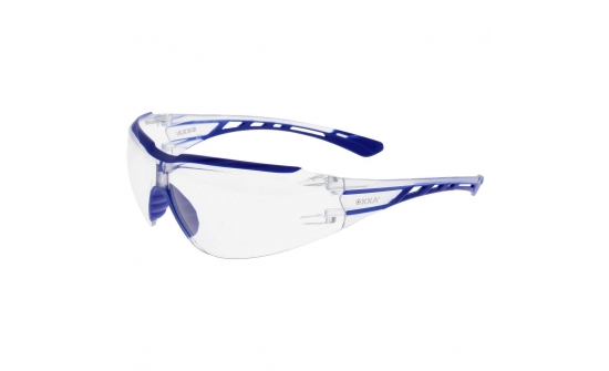 safety glasses with blue frame